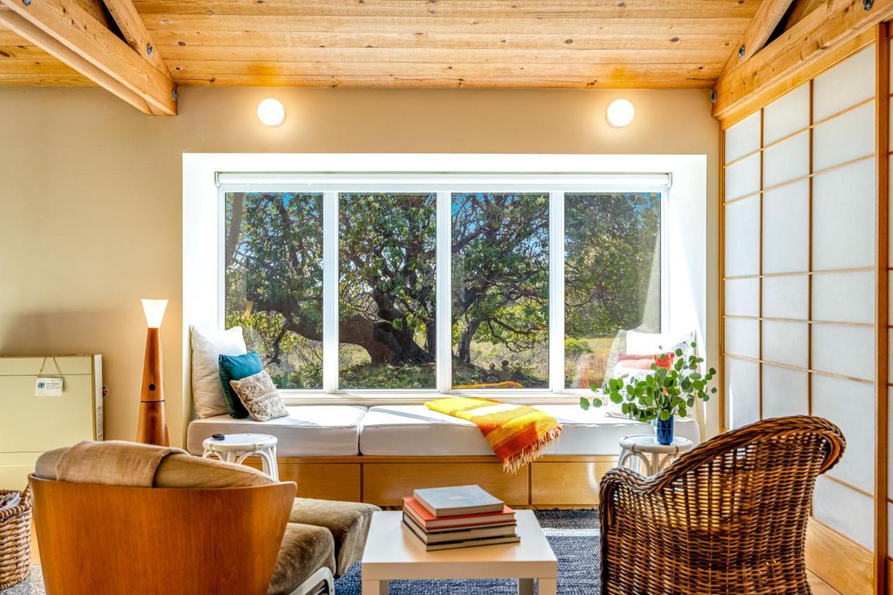 Madrone Cottage Sea Ranch Buitenkant foto